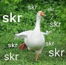 网上流行的吃瓜是什么意思